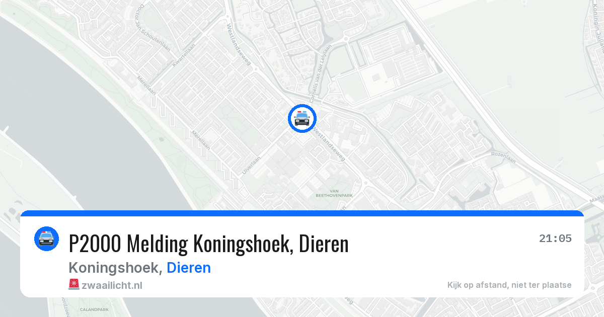 P2000 Melding Koningshoek, Dieren — 3 jun 2026