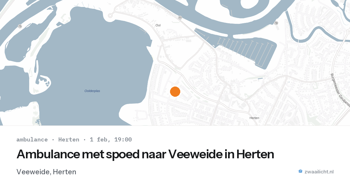 Ambulance met spoed naar Veeweide in Herten — 1 feb 2026
