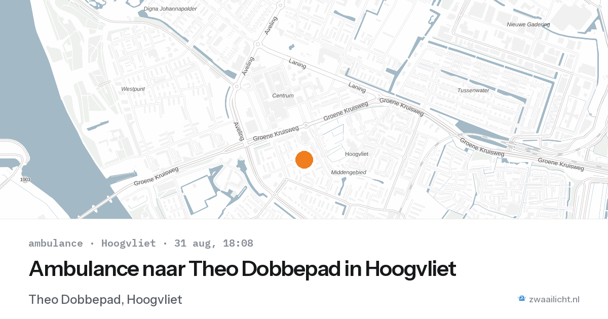 Ambulance naar Theo Dobbepad in Hoogvliet — 31 aug 2026