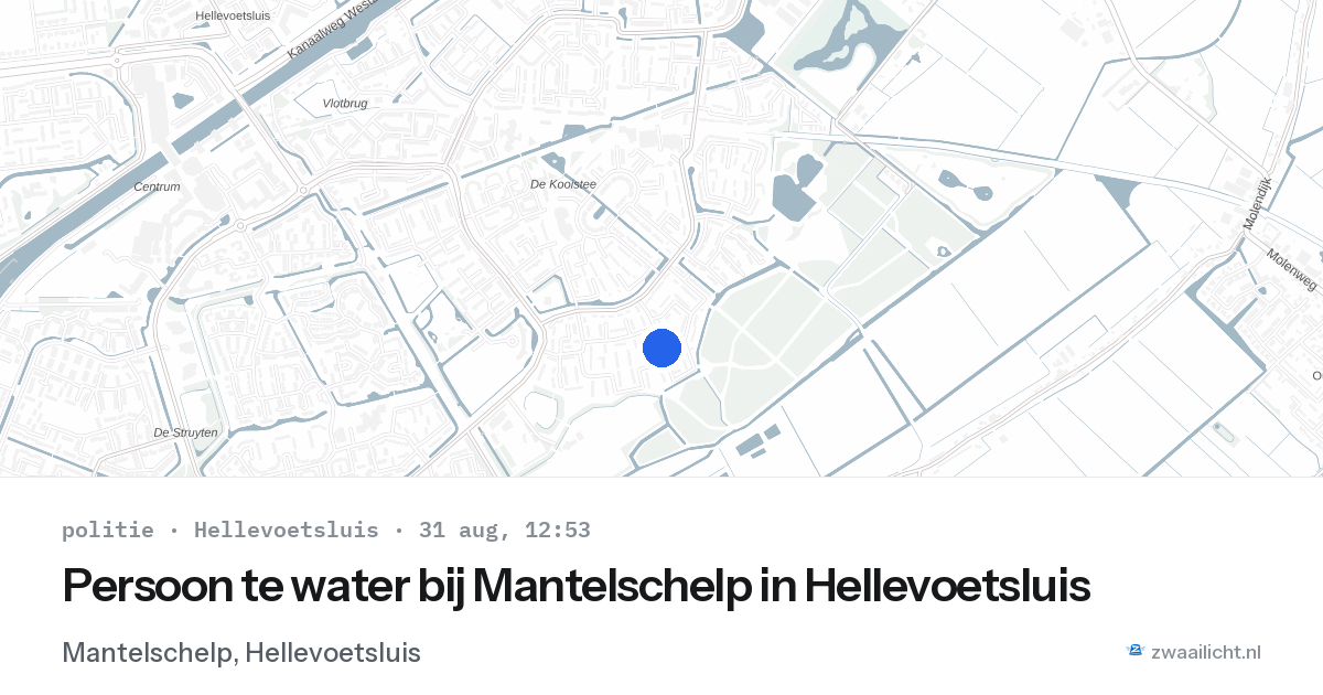 Persoon te water bij Mantelschelp in Hellevoetsluis — 31 aug 2026