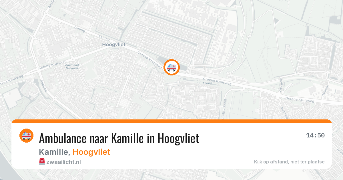 Ambulance naar Kamille in Hoogvliet — 21 jun 2026