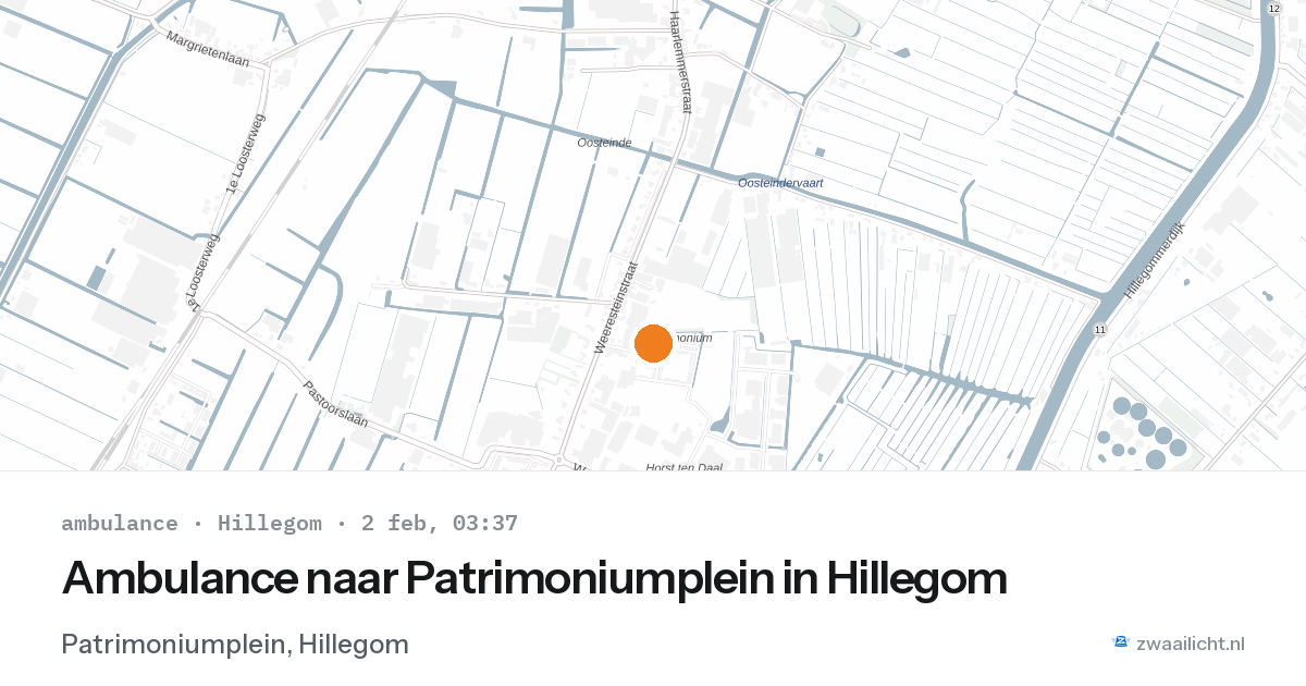 Ambulance naar Patrimoniumplein in Hillegom — 2 feb 2026