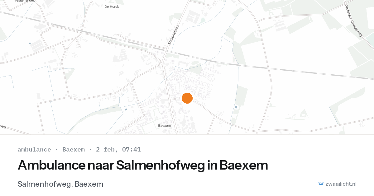 Ambulance naar Salmenhofweg in Baexem — 2 feb 2026