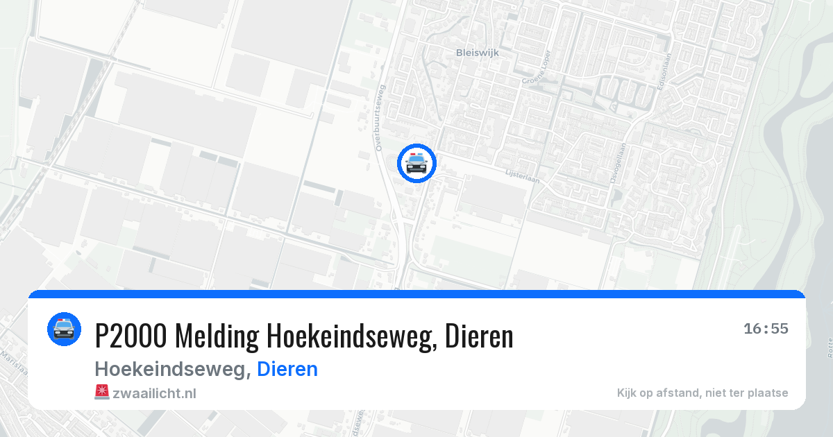 P2000 Melding Hoekeindseweg, Dieren — 12 jun 2026