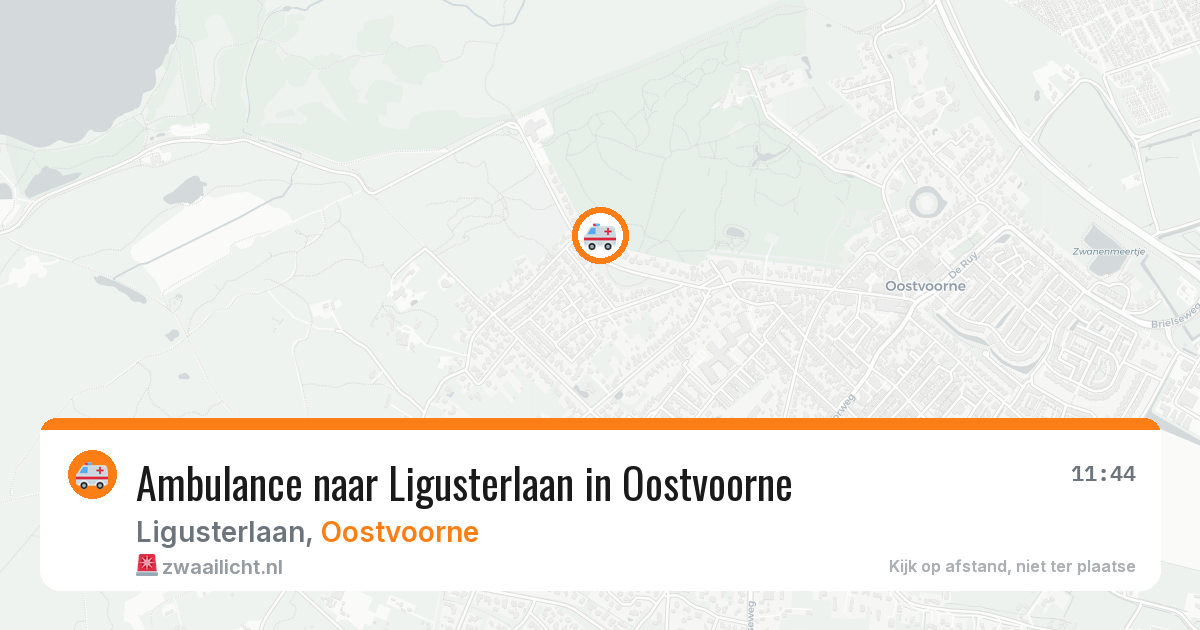 Ambulance naar Ligusterlaan in Oostvoorne — 22 jul 2026