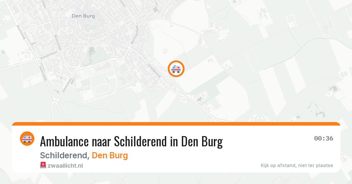 Ambulance naar Schilderend in Den Burg — 23 jul 2026