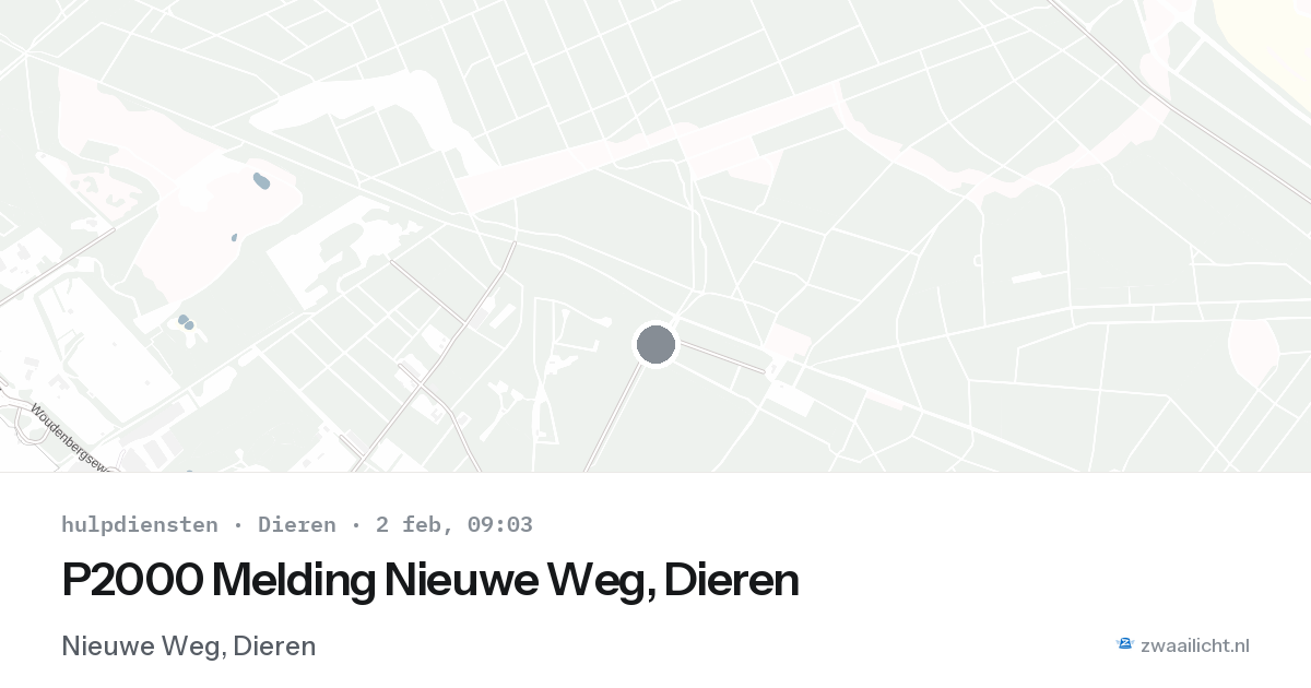 P2000 Melding Nieuwe Weg, Dieren — 2 feb 2026