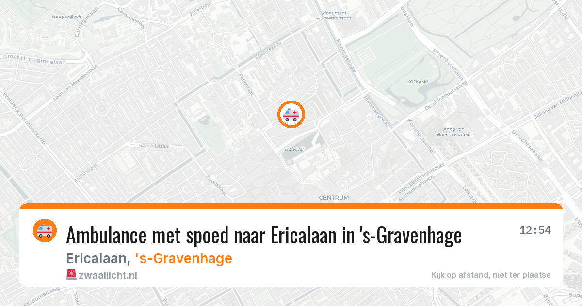 Ambulance met spoed naar Ericalaan in 's-Gravenhage — 8 feb 2026