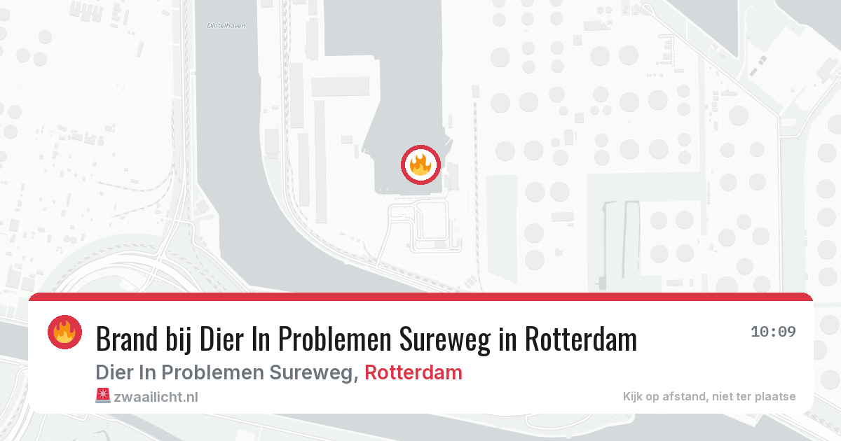 Brand bij Dier In Problemen Sureweg in Rotterdam — 15 jun 2026