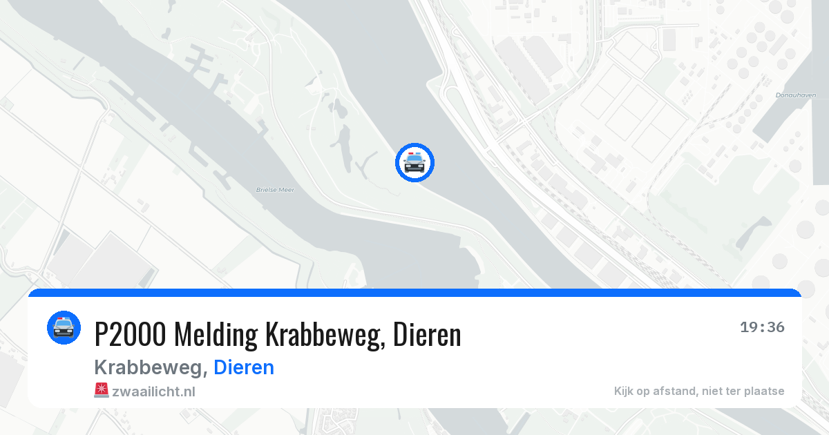 P2000 Melding Krabbeweg, Dieren — 31 mei 2026