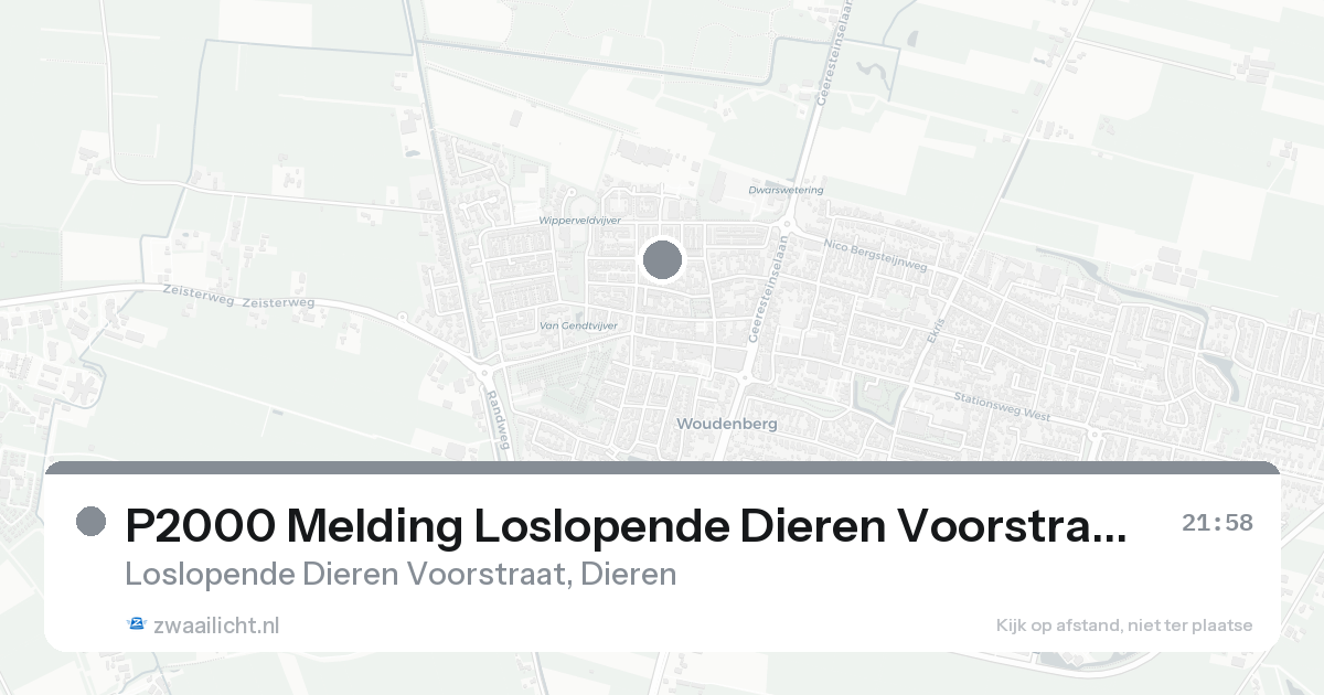 P2000 Melding Loslopende Dieren Voorstraat, Dieren — 7 feb 2026