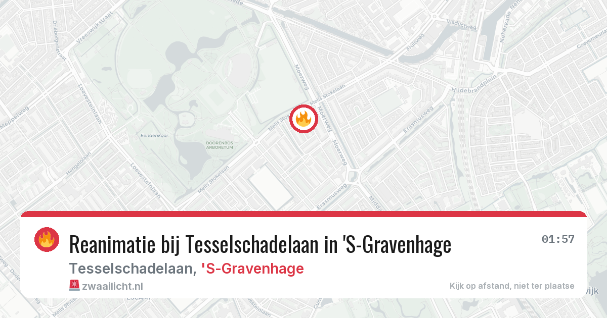 Reanimatie bij Tesselschadelaan in 'S-Gravenhage — 17 jun 2026