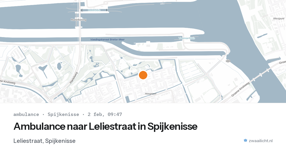 Ambulance naar Leliestraat in Spijkenisse — 2 feb 2026