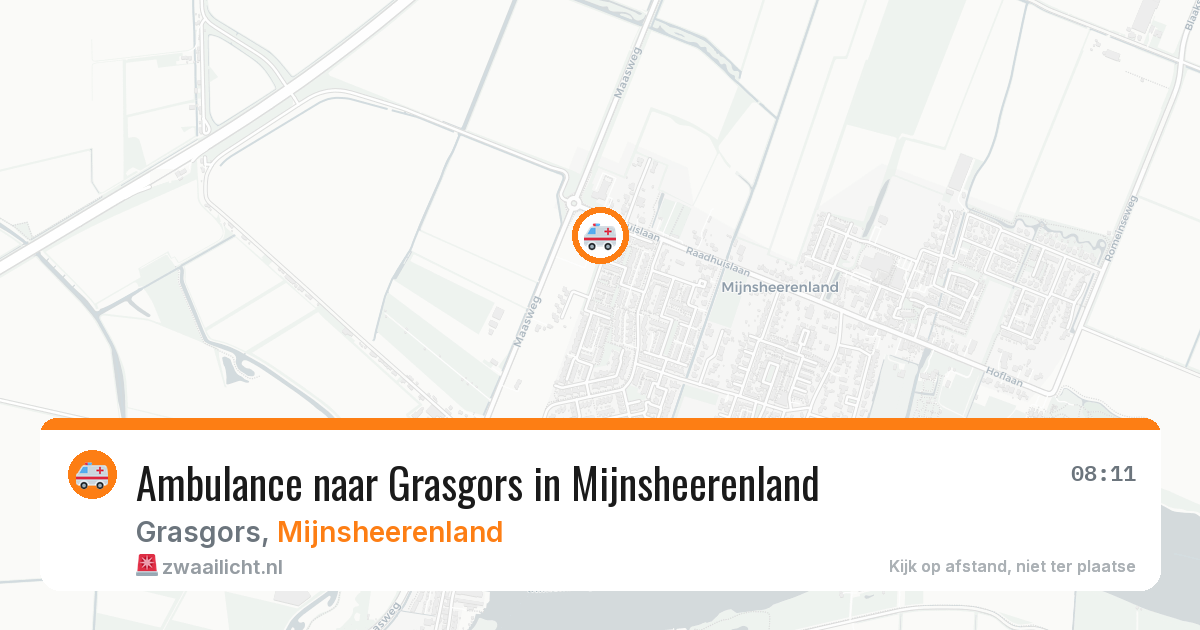 Ambulance naar Grasgors in Mijnsheerenland — 18 jul 2026
