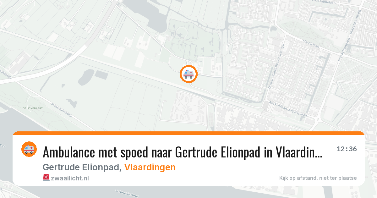 Ambulance met spoed naar Gertrude Elionpad in Vlaardingen — 13 aug 2026
