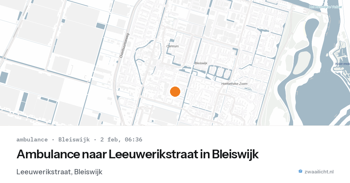 Ambulance naar Leeuwerikstraat in Bleiswijk — 2 feb 2026