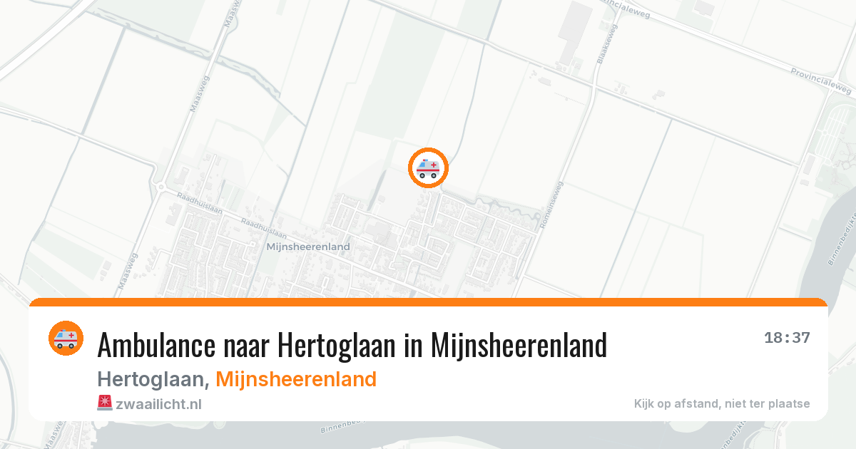 Ambulance naar Hertoglaan in Mijnsheerenland — 28 jun 2026