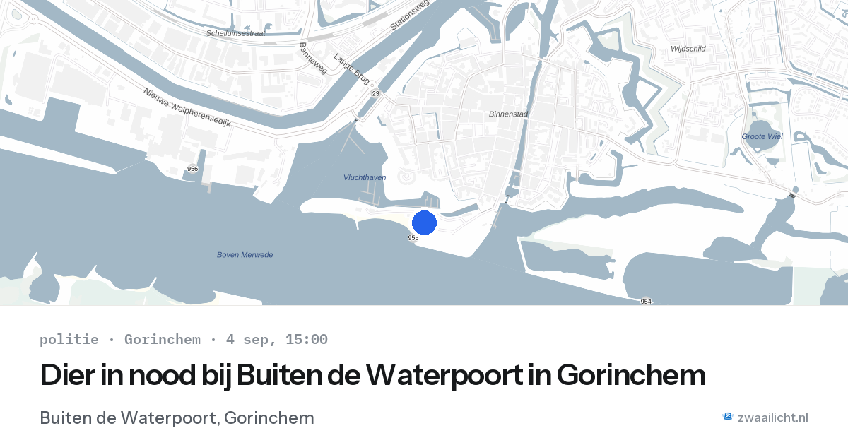 Dier in nood bij Buiten de Waterpoort in Gorinchem — 4 sep 2026
