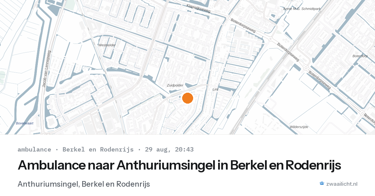Ambulance naar Anthuriumsingel in Berkel en Rodenrijs — 29 aug 2026