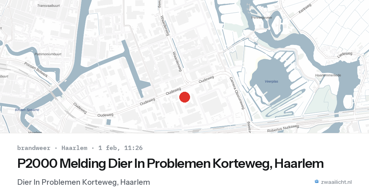 P2000 Melding Dier In Problemen Korteweg, Haarlem — 1 feb 2026