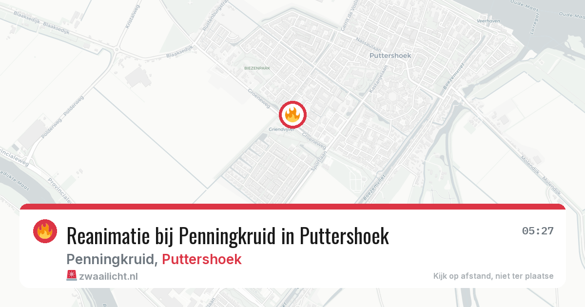 Reanimatie bij Penningkruid in Puttershoek — 28 jan 2026