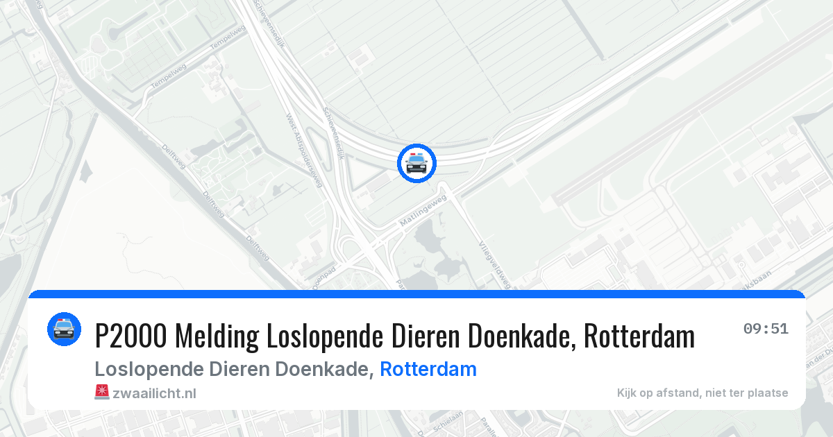 P2000 Melding Loslopende Dieren Doenkade, Rotterdam — 14 aug 2026