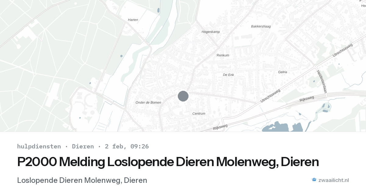 P2000 Melding Loslopende Dieren Molenweg, Dieren — 2 feb 2026