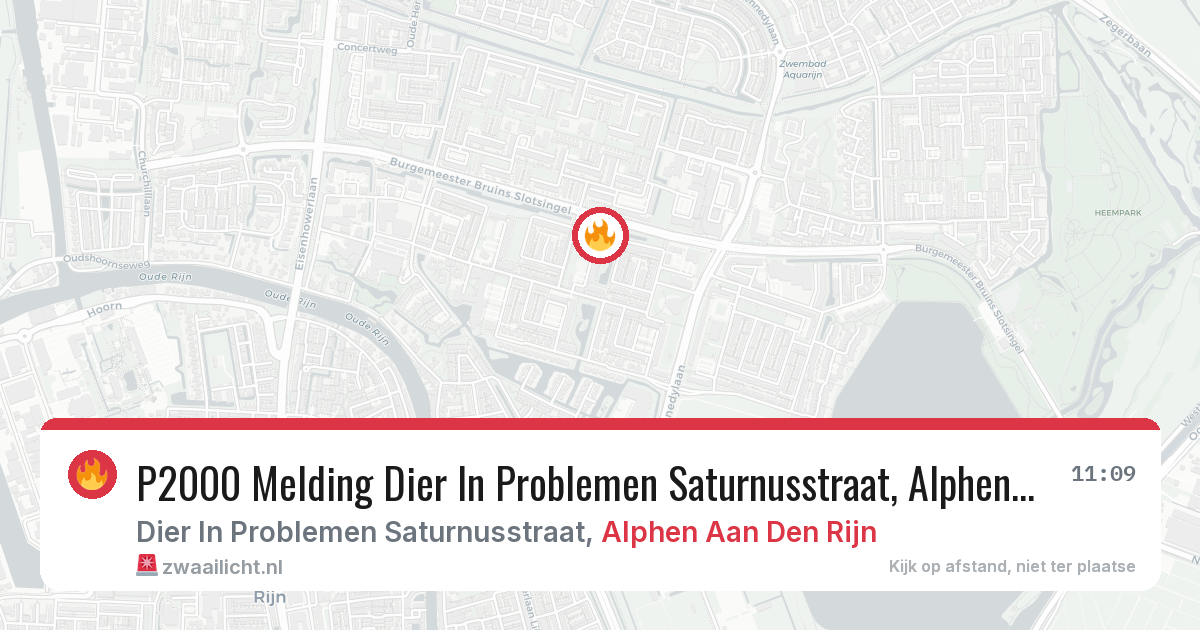 P2000 Melding Dier In Problemen Saturnusstraat, Alphen Aan Den Rijn — 8 feb 2026