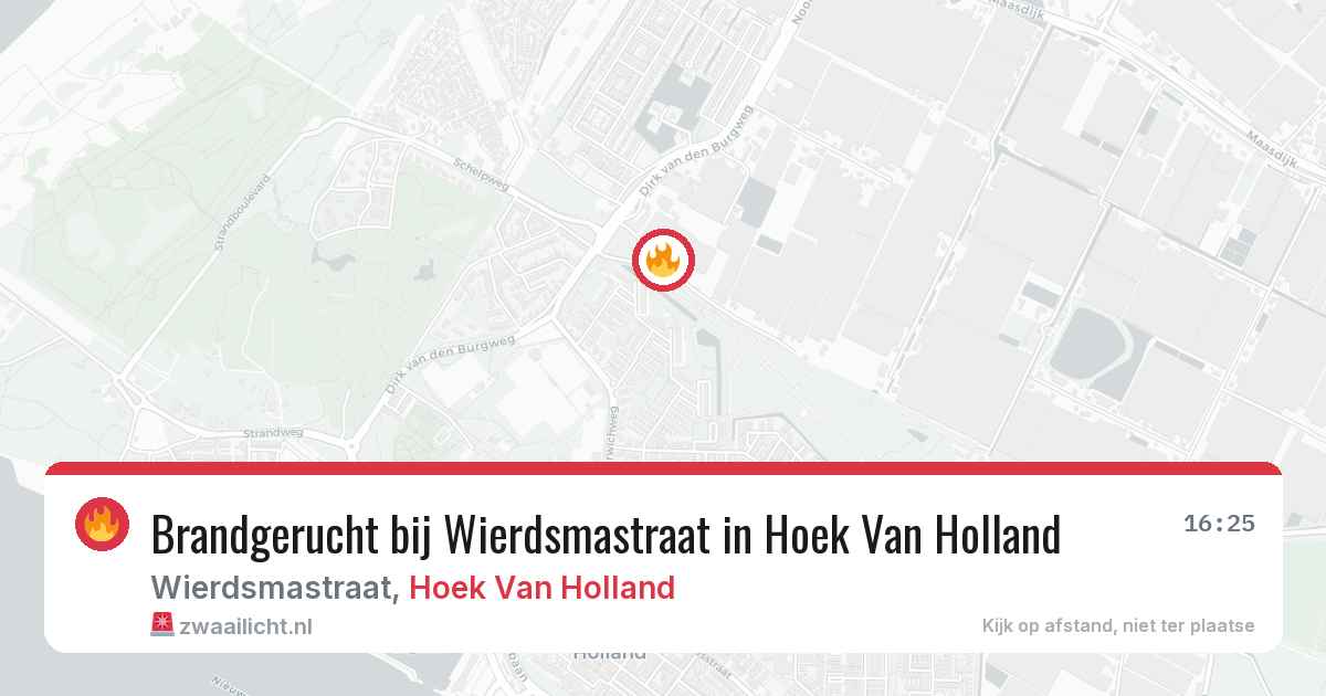 Brandgerucht bij Wierdsmastraat in Hoek Van Holland — 11 aug 2026