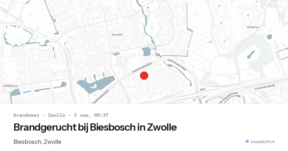 Brandgerucht bij Biesbosch in Zwolle — 3 sep 2026