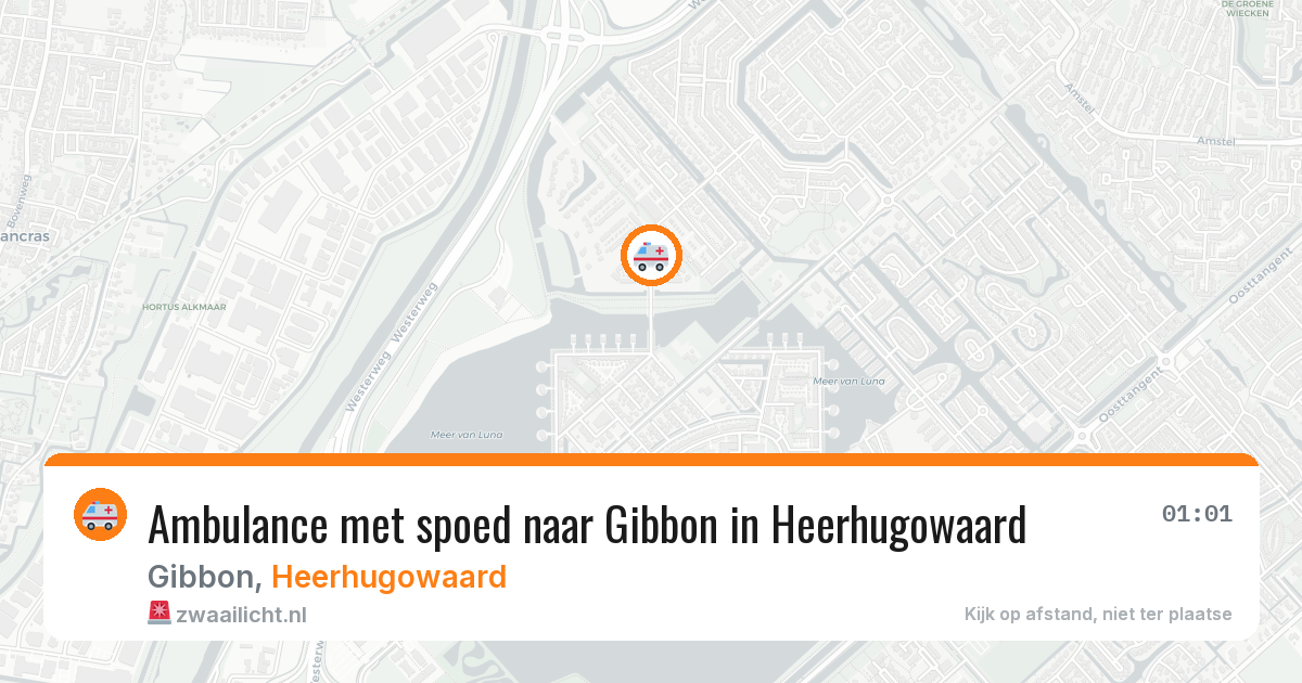 Ambulance met spoed naar Gibbon in Heerhugowaard — 31 mei 2026