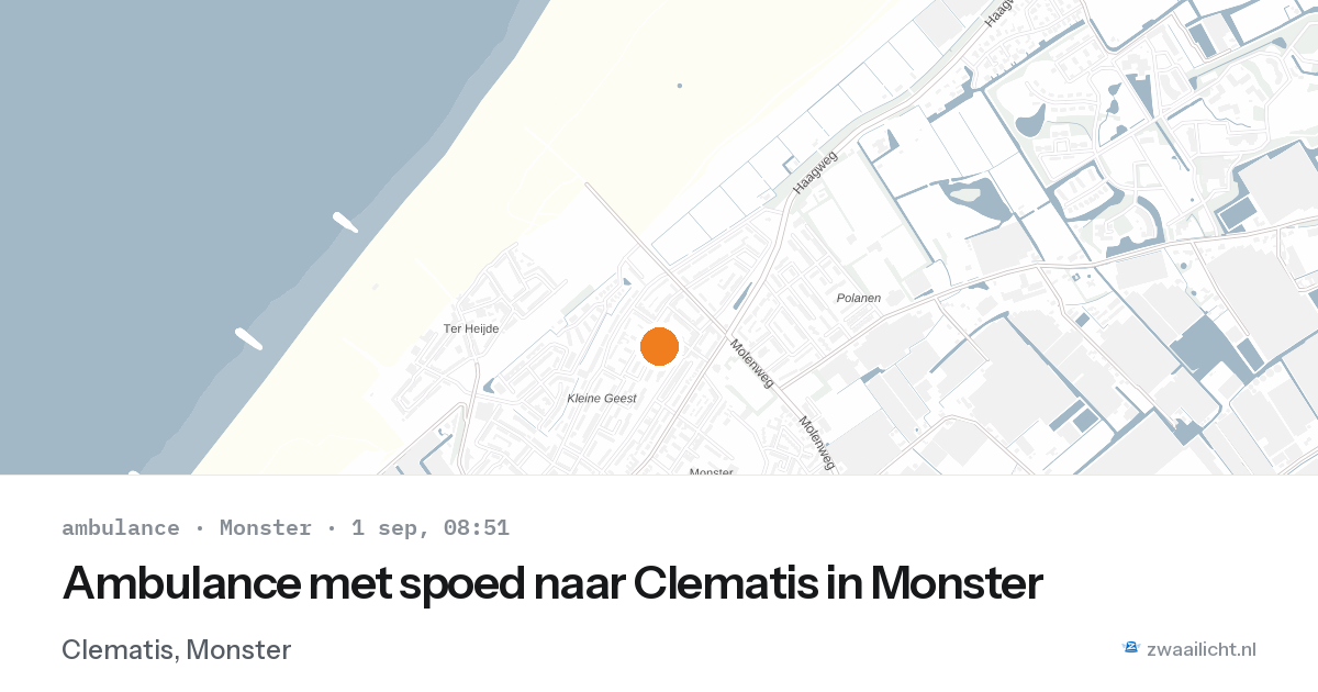 Ambulance met spoed naar Clematis in Monster — 1 sep 2026