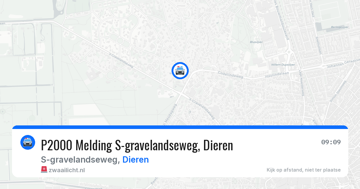 P2000 Melding S-gravelandseweg, Dieren — 12 aug 2026