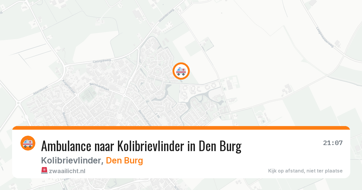 Ambulance naar Kolibrievlinder in Den Burg — 7 aug 2026