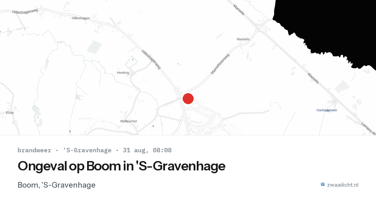 Ongeval op Boom in 'S-Gravenhage — 31 aug 2026