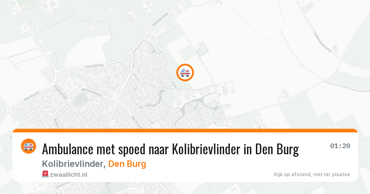 Ambulance met spoed naar Kolibrievlinder in Den Burg — 9 feb 2026