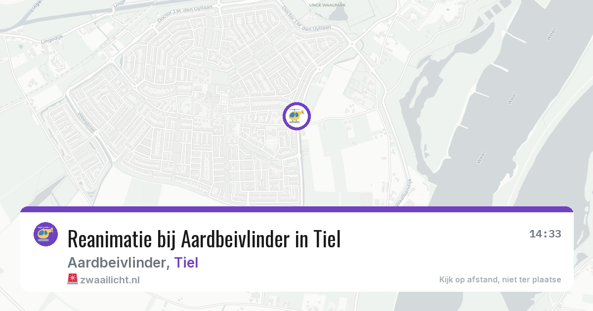 Reanimatie bij Aardbeivlinder in Tiel — 7 jun 2026