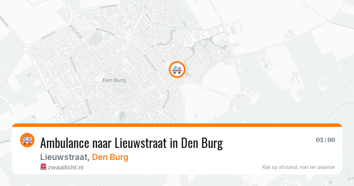 Ambulance naar Lieuwstraat in Den Burg — 18 jul 2026