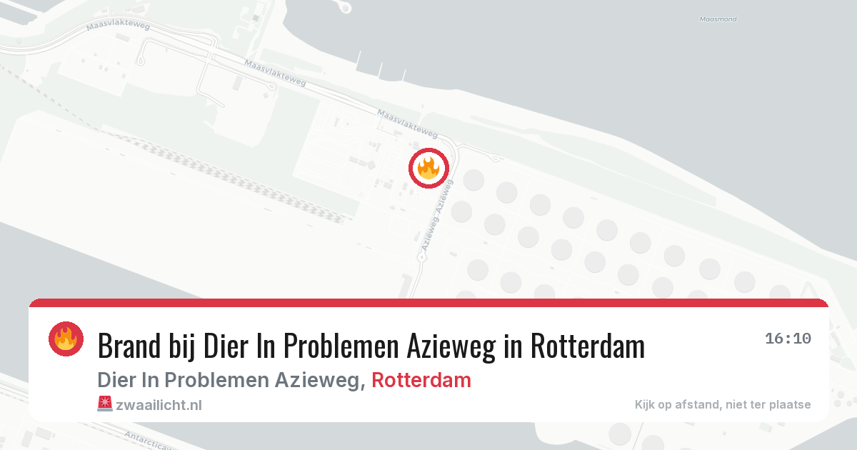 Brand bij Dier In Problemen Azieweg in Rotterdam — 11 jun 2026