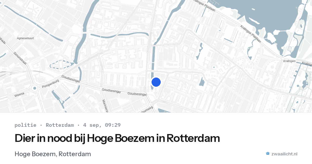 Dier in nood bij Hoge Boezem in Rotterdam — 4 sep 2026