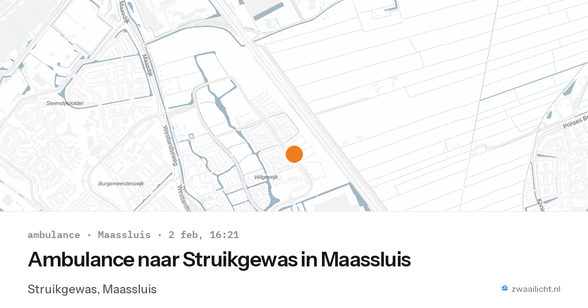 Ambulance naar Struikgewas in Maassluis — 2 feb 2026