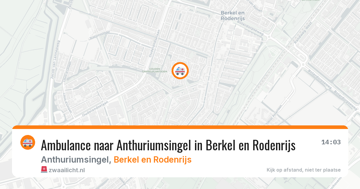 Ambulance naar Anthuriumsingel in Berkel en Rodenrijs — 2 aug 2026
