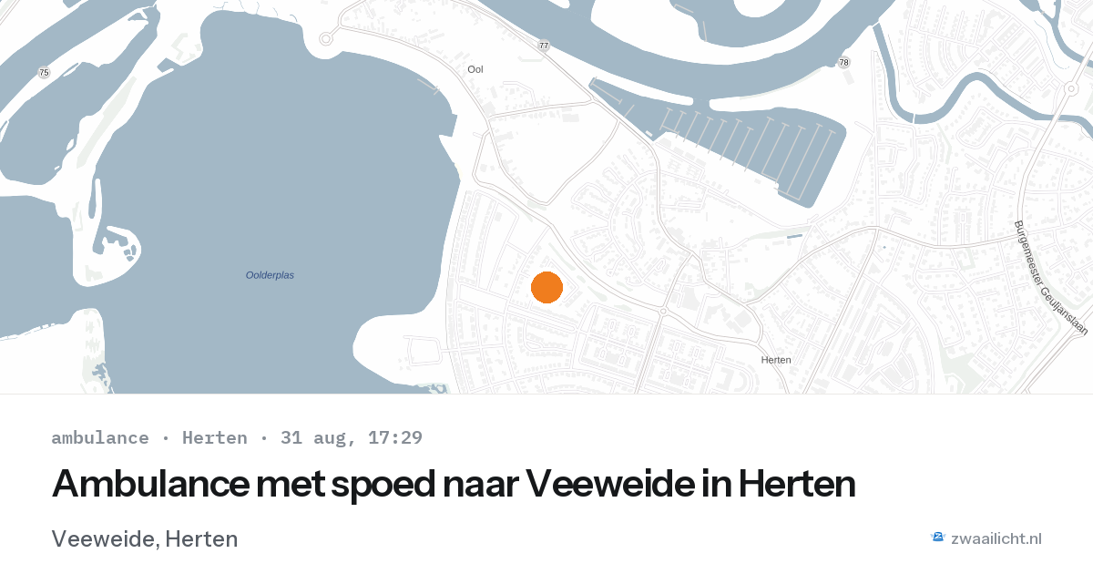 Ambulance met spoed naar Veeweide in Herten — 31 aug 2026