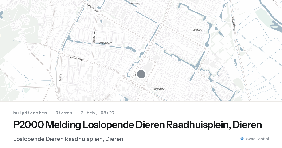 P2000 Melding Loslopende Dieren Raadhuisplein, Dieren — 2 feb 2026