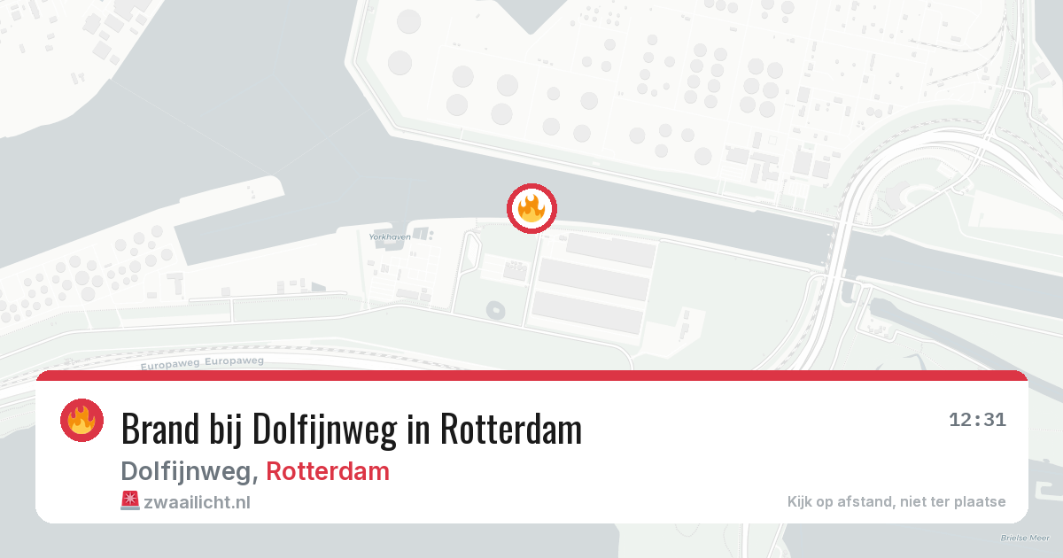 Brand bij Dolfijnweg in Rotterdam — 11 jun 2026