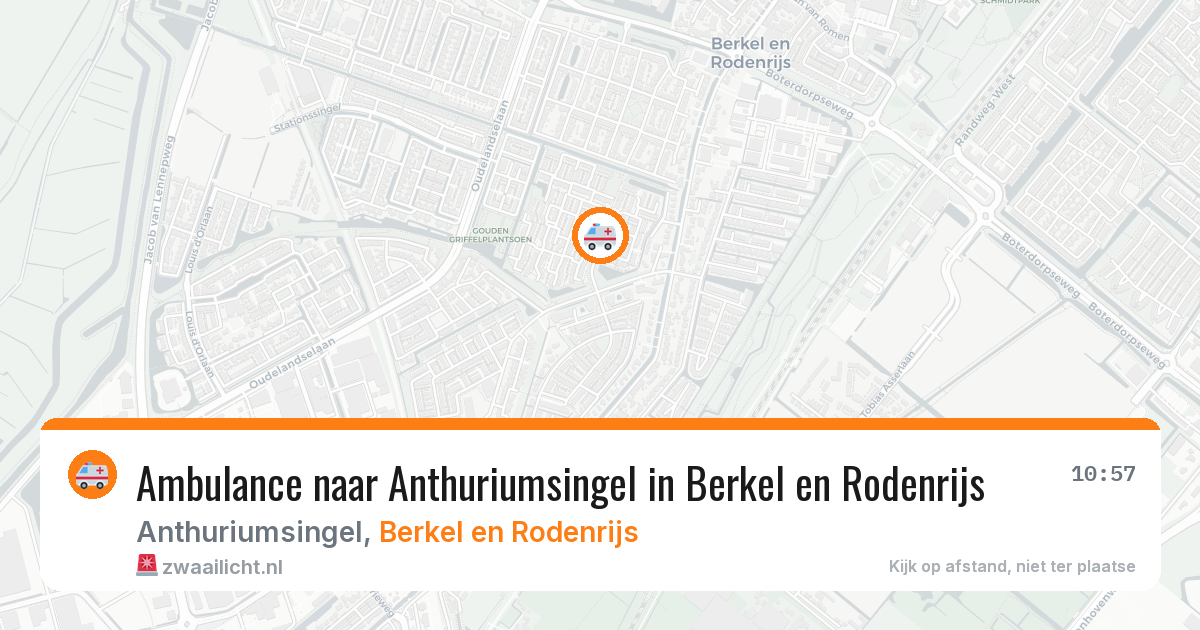 Ambulance naar Anthuriumsingel in Berkel en Rodenrijs — 24 mrt 2026