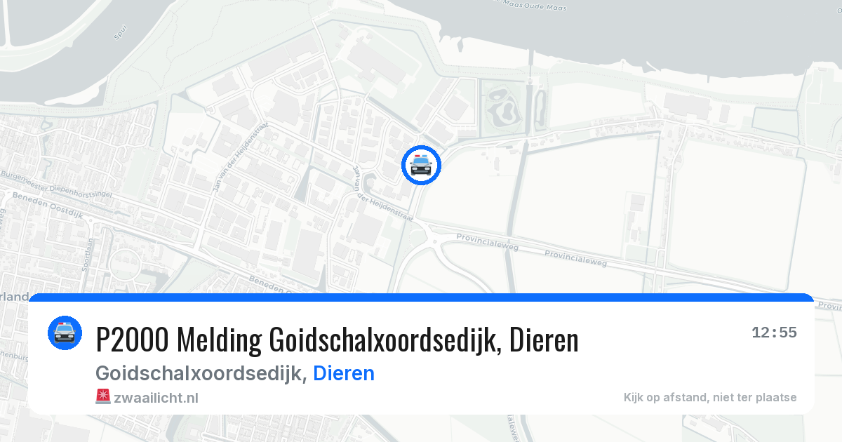 P2000 Melding Goidschalxoordsedijk, Dieren — 15 jun 2026