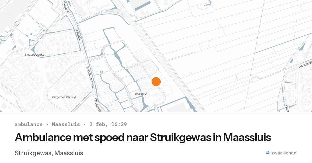 Ambulance met spoed naar Struikgewas in Maassluis — 2 feb 2026