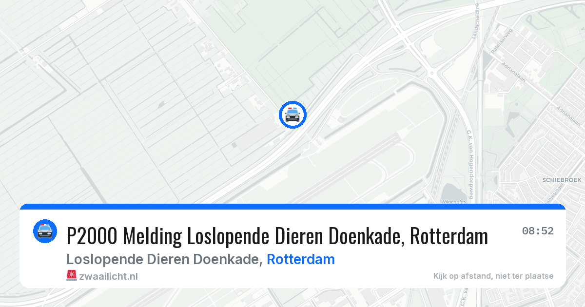 P2000 Melding Loslopende Dieren Doenkade, Rotterdam — 15 jun 2026