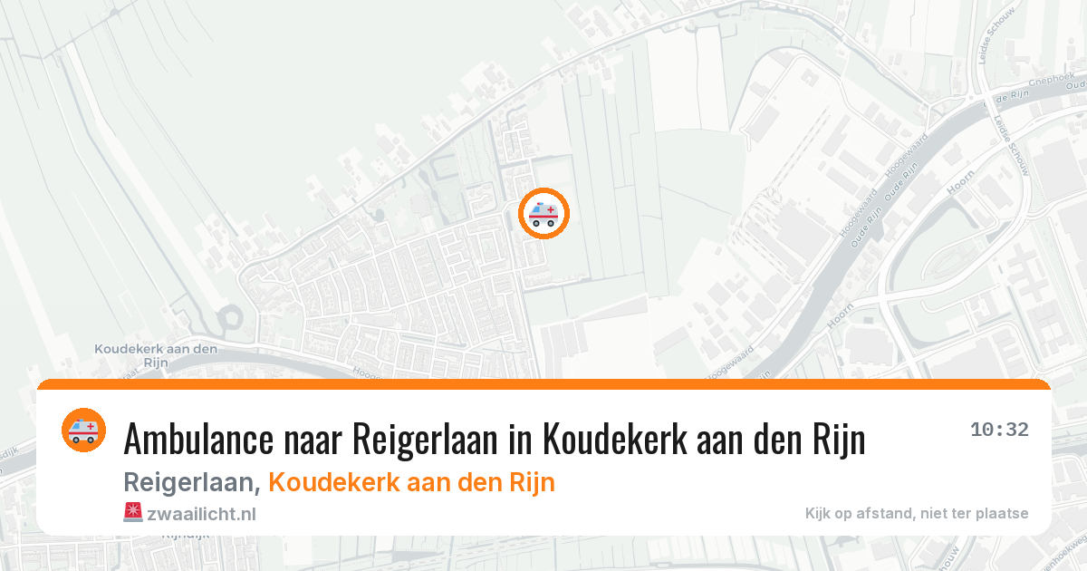 Ambulance naar Reigerlaan in Koudekerk aan den Rijn — 17 jul 2026